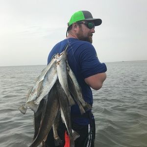 Meet your Posher, Freddy